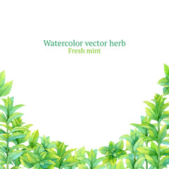 Watercolor vector frame with fresh mint