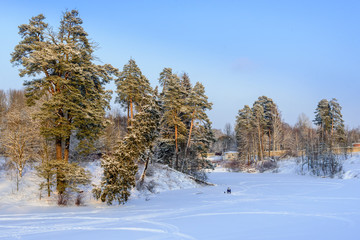 Fisherman catches a fish on a frozen pond