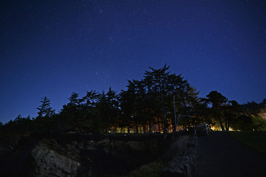 Starscape from Shore Acres Oregon