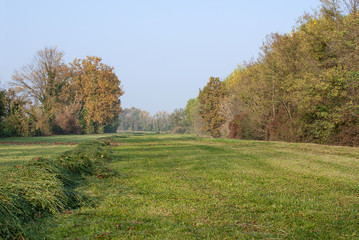 paesaggio autunnale