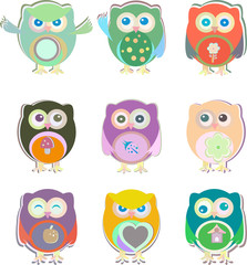 Fototapeta premium set of cute owls isolated on white