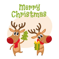 Merry Christmas greeting card template with two deer holding a Christmas tree and a gift box, cartoon vector . Christmas poster, banner, postcard, greeting card design
