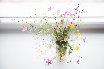 Bouquet of wild flowers in the window.