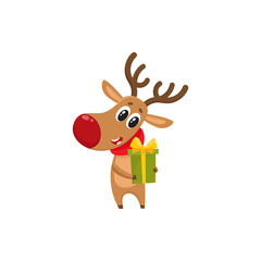 Funny Christmas reindeer in red scarf holding a gift, present, cartoon vector illustration isolated on white background. Red nosed deer in red scarf with Christmas present, holiday decoration element