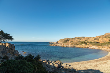 Fototapeta premium Deserted beach on coast of Desert des Agriates in Corsica