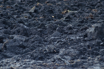 The texture of the soil, black soil.