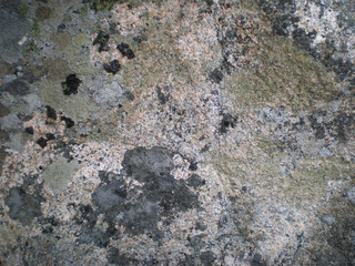 Surface of a rock with many details, close up