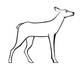 Roe deer vector image.