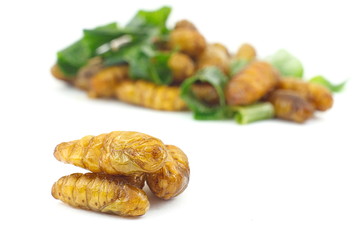 Silkworm pupa fried with green pandan leaf isolated on white bac