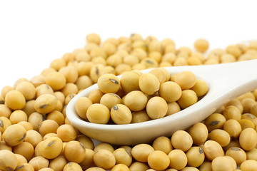 Small soybean in white spoon on white background