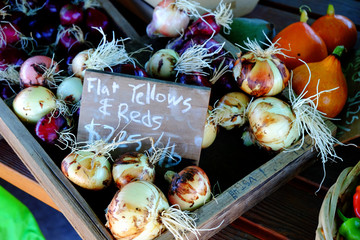 Onions for sale at Farmer's Market with price