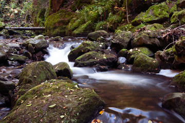 kleiner Wasserfall im Schwarzwald