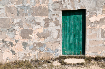 Fototapeta na wymiar Old wooden door in a brick wall
