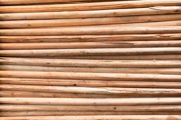 Wood Texture - Ecological Background..