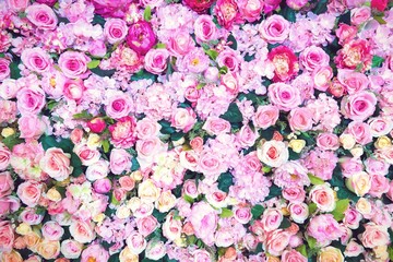 Pattern of fresh colorful roses..