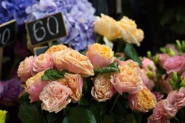 Spring Flowers in a flower shop. Street flower market. Different roses.