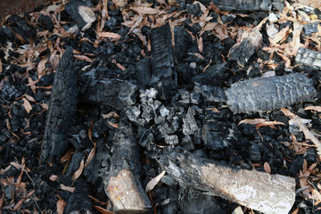 Burnt Firewood