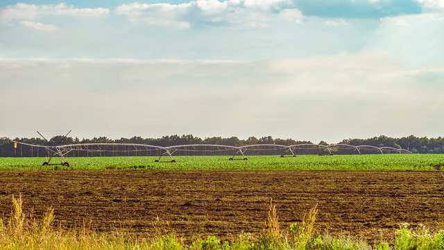 Mobile sprinkler irrigation system on the entire width of a hot summer field