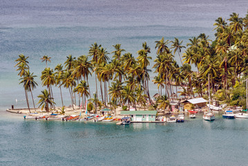 Tropical island with palm trees and ocean background