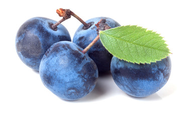fresh blackthorn berries with leaves isolated on white background