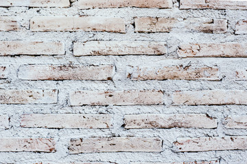 Fototapeta premium Background Texture..