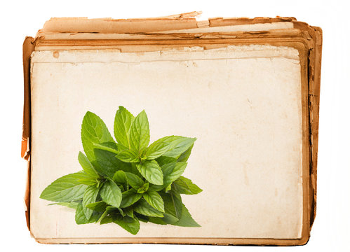 Old Book - With Mint Herb