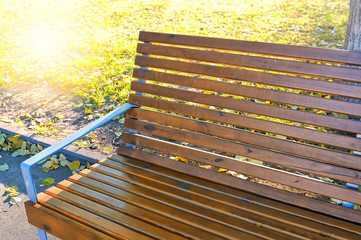 Wooden bench in the autumn park