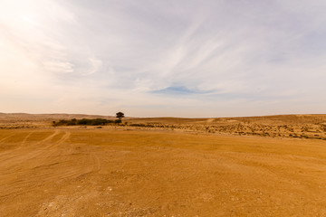 Fototapeta na wymiar Wide panorama of desert