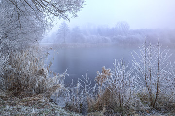 Winterlandschaft 2 / Eingefrorene Landschaft am Thielenburger See in Dannenberg (Wendland, Niedersachsen). Aufgenommen am 5. Dezember 2016.