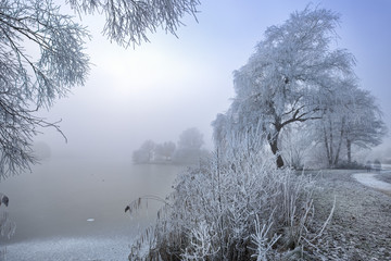 Winterlandschaft 3 / Eingefrorene Landschaft am Thielenburger See in Dannenberg (Wendland,...