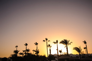 sunset in tropical paradise with white aran style house and beautiful nature