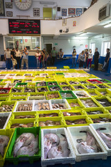 Auction of freshly-caught fish at Confradia de Pescadores de Luarca, Confederation of Luarca Fishermen, Puerto Luarca, Asturias, Spain