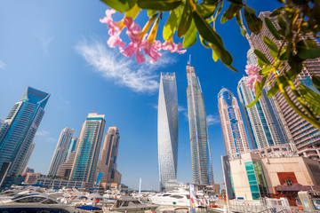 Dubai Marina with flowers in Dubai, United Arab Emirates