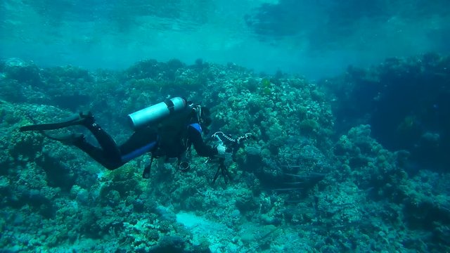  Underwater videographer swims near coral reef
