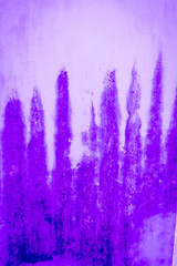 purple wall
