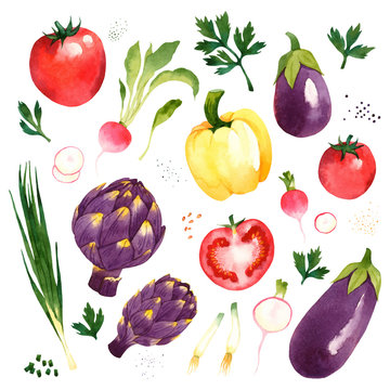 Watercolor vector vegetables set with tomato, radish, artichoke, eggplant, pepper, onion, parsley