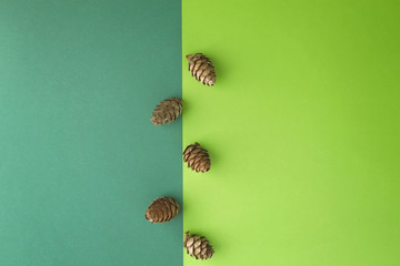 Pine cones on greenery background. Top view, flat lay. Copy space for text. Xmas composition