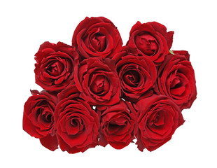 薔薇