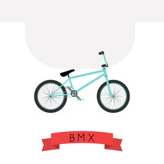 Vector illustration of BMX in flat style.