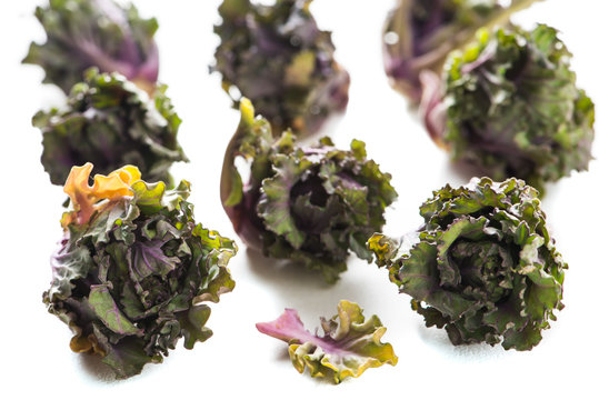 Kalettes, a delicious cross between brussels sprouts and kale isolated on white background