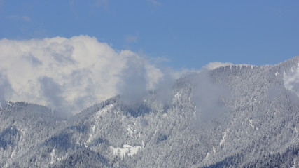 Fototapeta na wymiar Schnee auf die Berge und Bäume und große Wolke und Gipfel der Alpen 