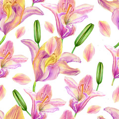 Fototapeta na wymiar Watercolor pink lily, garden flower isolated on white, seamless pattern, decorative background, botanical hand drawn painting texture for design package cosmetic, greeting card, wedding invitation