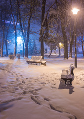 Fototapeta na wymiar Winter night landscape- bench under winter trees and shining street lights under winter falling snowflakes. Colorful night scene with falling snow in the deserted night park