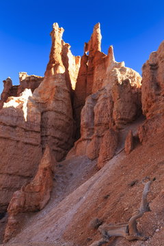 Hoodoos backlit by winter early morning sun, Queen's Garden Trail, Bryce Canyon National Park, Utah