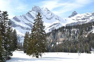 Braunwald, Switzerland