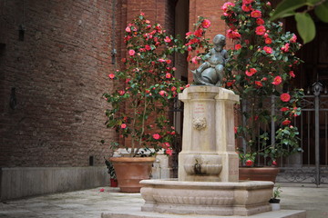 Fototapeta na wymiar Fountain of child astride a turtle in Siena, Italy