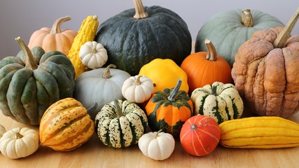 Squash and pumpkins.