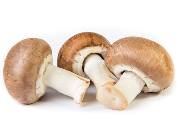 Champignon