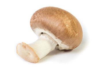 Champignon