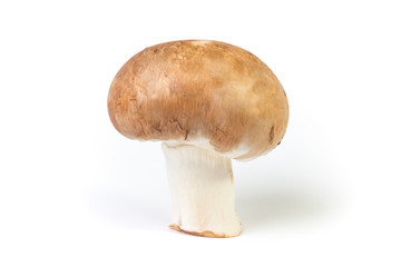 Fototapeta premium Champignon